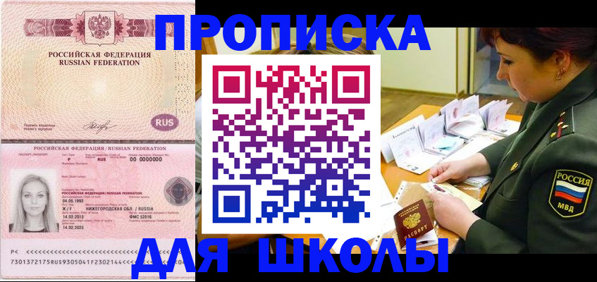 прописка 2025 в Сольцах